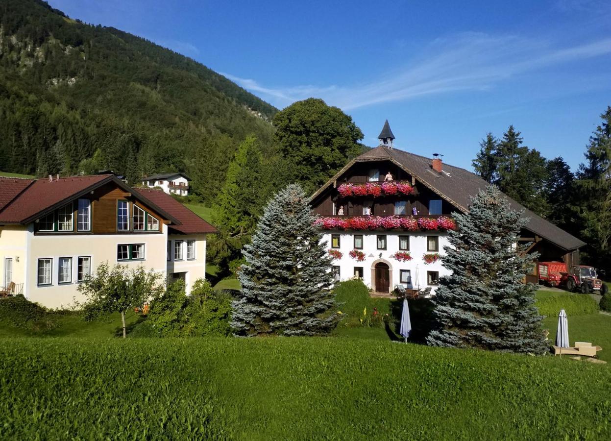Hotel Pension Hohenau Fuschl am See Exteriér fotografie