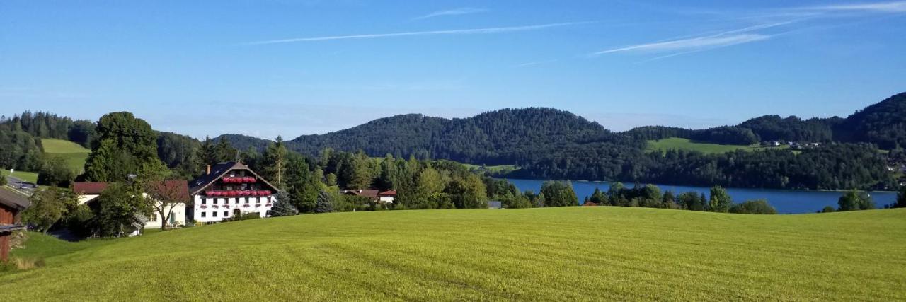 Hotel Pension Hohenau Fuschl am See Exteriér fotografie